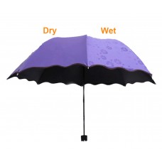 Colour Changing Umbrella Colour Changing Umbrella